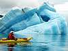 bear glacier sea kayaking