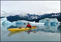 Sea Kayaking Bear Glacier