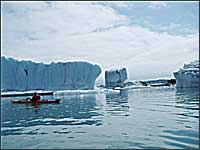 Bear Glacier Lake and icebergs