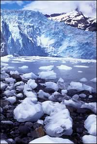 tidewater Aialik Glacier