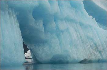 Icebergs at Bear Glacier Wilderness Retreat Sea Kayaking
