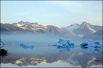 Bear Glacier Kayaking Bear Glacier Wilderness Retreat