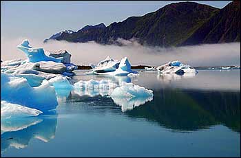 Icebergs at Bear Glacier Wilderness Retreat Kayaking