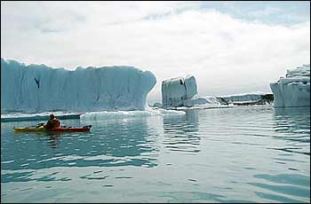 Bear Glacier Wilderness Sea Kayaking With Icebergs