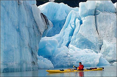 Gaint Iceberg at Bear Glacier