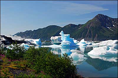 shore Bear Glacier Lake