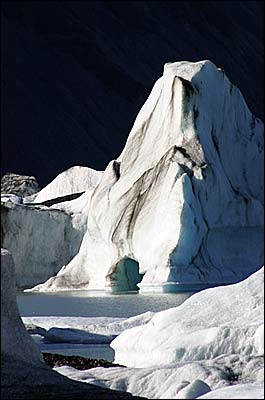towing iceberg at Bear Glacier
