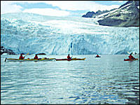 Aialik Glacier Sea Kayaking
