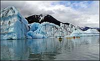 Bear Glacier Lake Ice Bergs